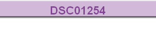 DSC01254