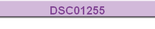 DSC01255