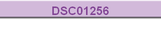 DSC01256