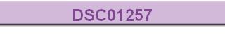 DSC01257