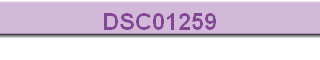 DSC01259