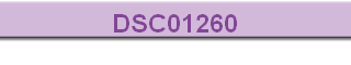 DSC01260