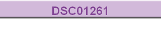 DSC01261