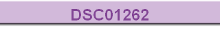 DSC01262
