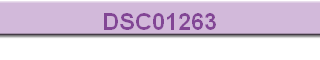 DSC01263