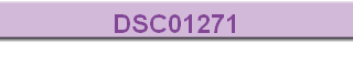 DSC01271