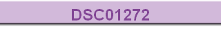 DSC01272