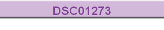 DSC01273