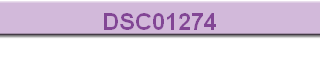 DSC01274