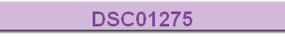 DSC01275