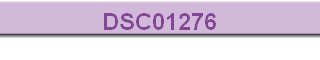 DSC01276