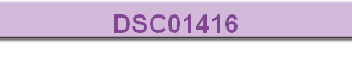 DSC01416