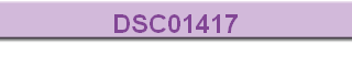 DSC01417