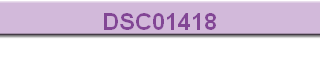 DSC01418