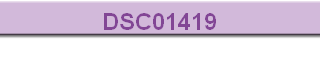 DSC01419
