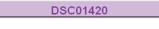 DSC01420