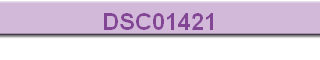 DSC01421