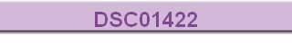 DSC01422