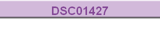 DSC01427