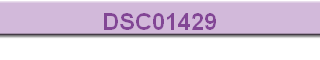 DSC01429