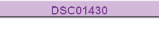 DSC01430