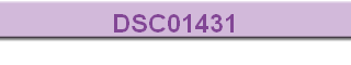 DSC01431