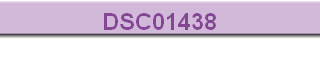 DSC01438