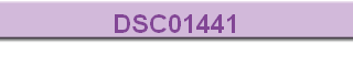 DSC01441