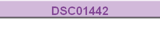 DSC01442