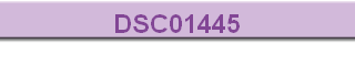 DSC01445