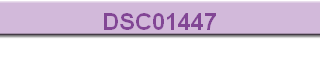 DSC01447