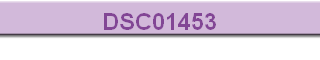DSC01453