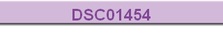 DSC01454