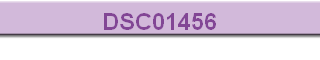 DSC01456